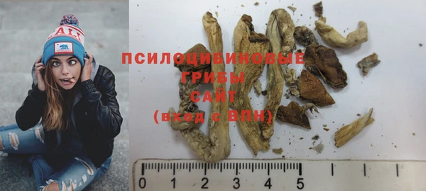 эйфоретик Заводоуковск