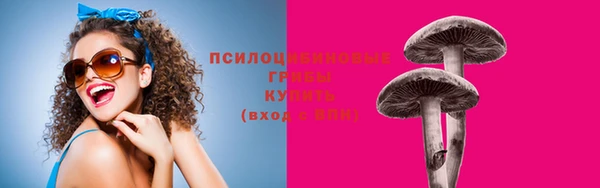 a pvp Заволжск