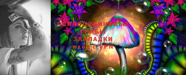 эйфоретик Заводоуковск