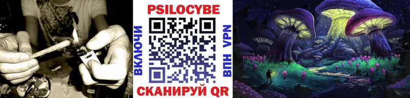 Псилоцибиновые грибы ЛСД  Купить где  Змеиногорск 